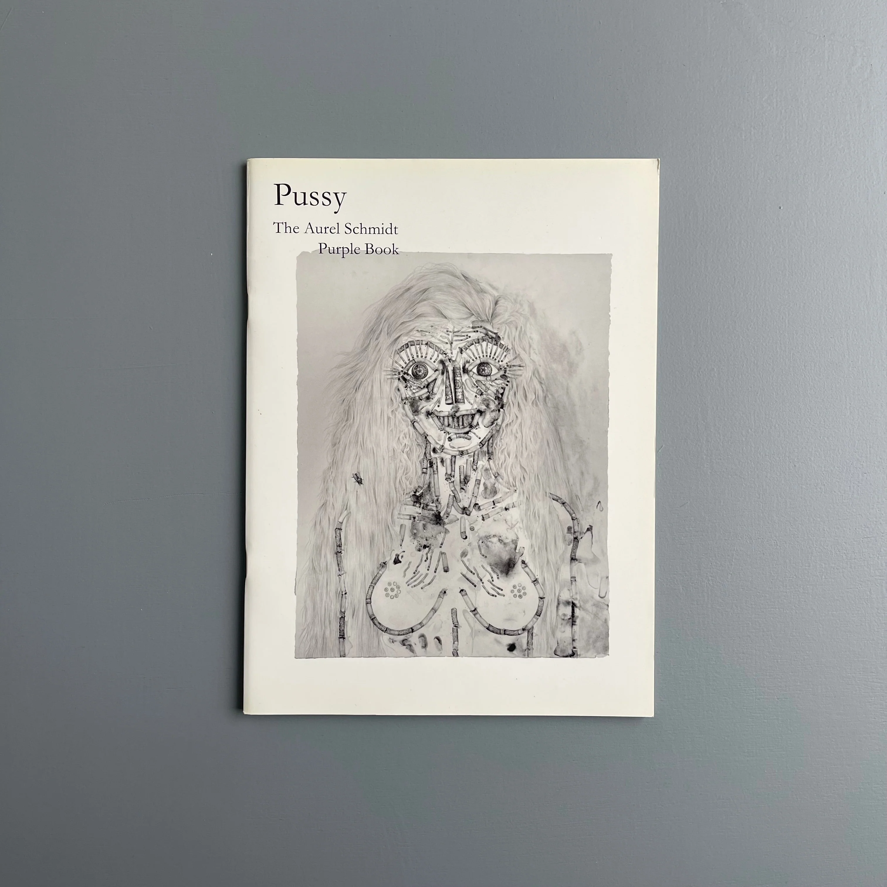 Aurel Schmidt - Pussy - Purple Book 2010