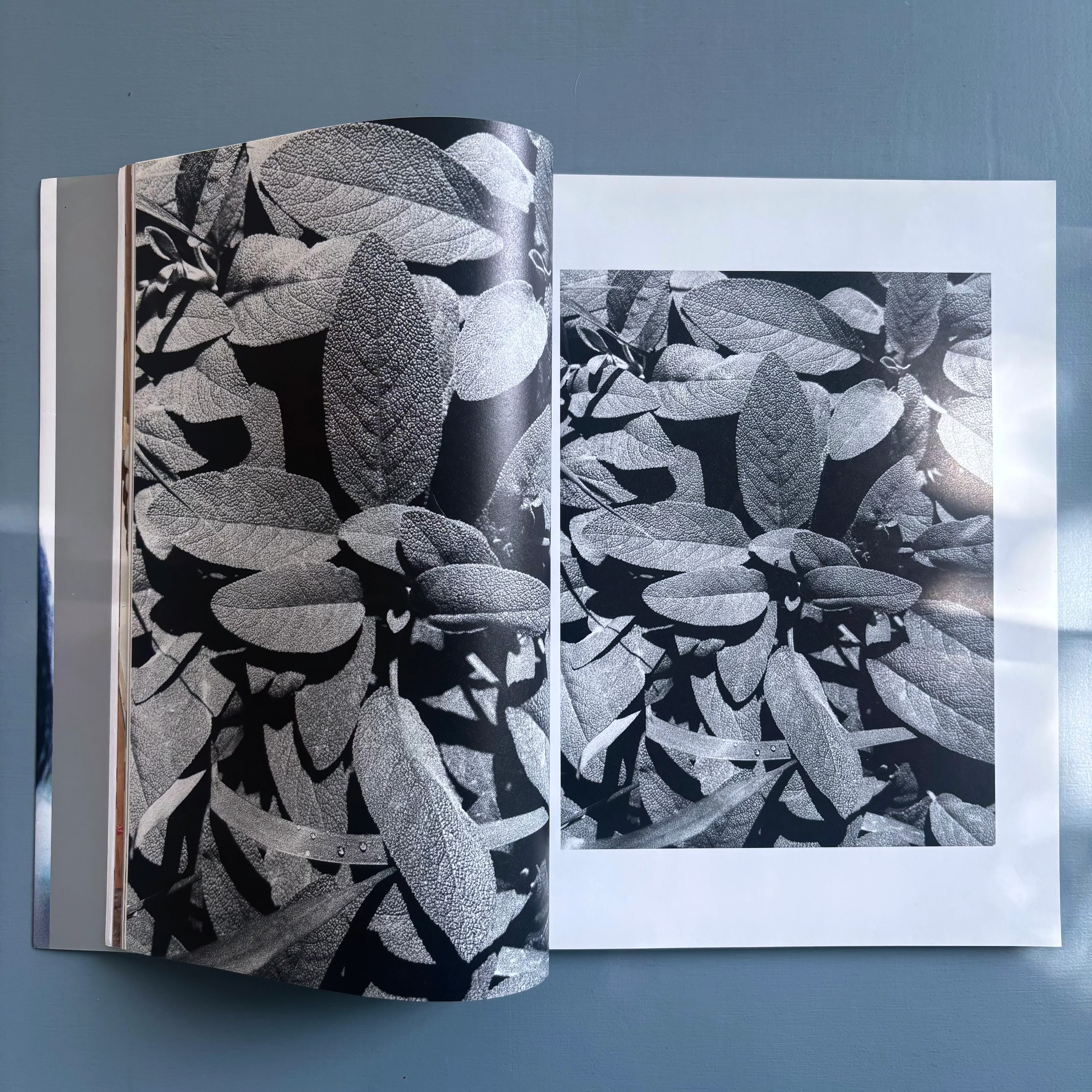 Bill 2 - Julie Peeters/Roma Publications 2019 - Image 5