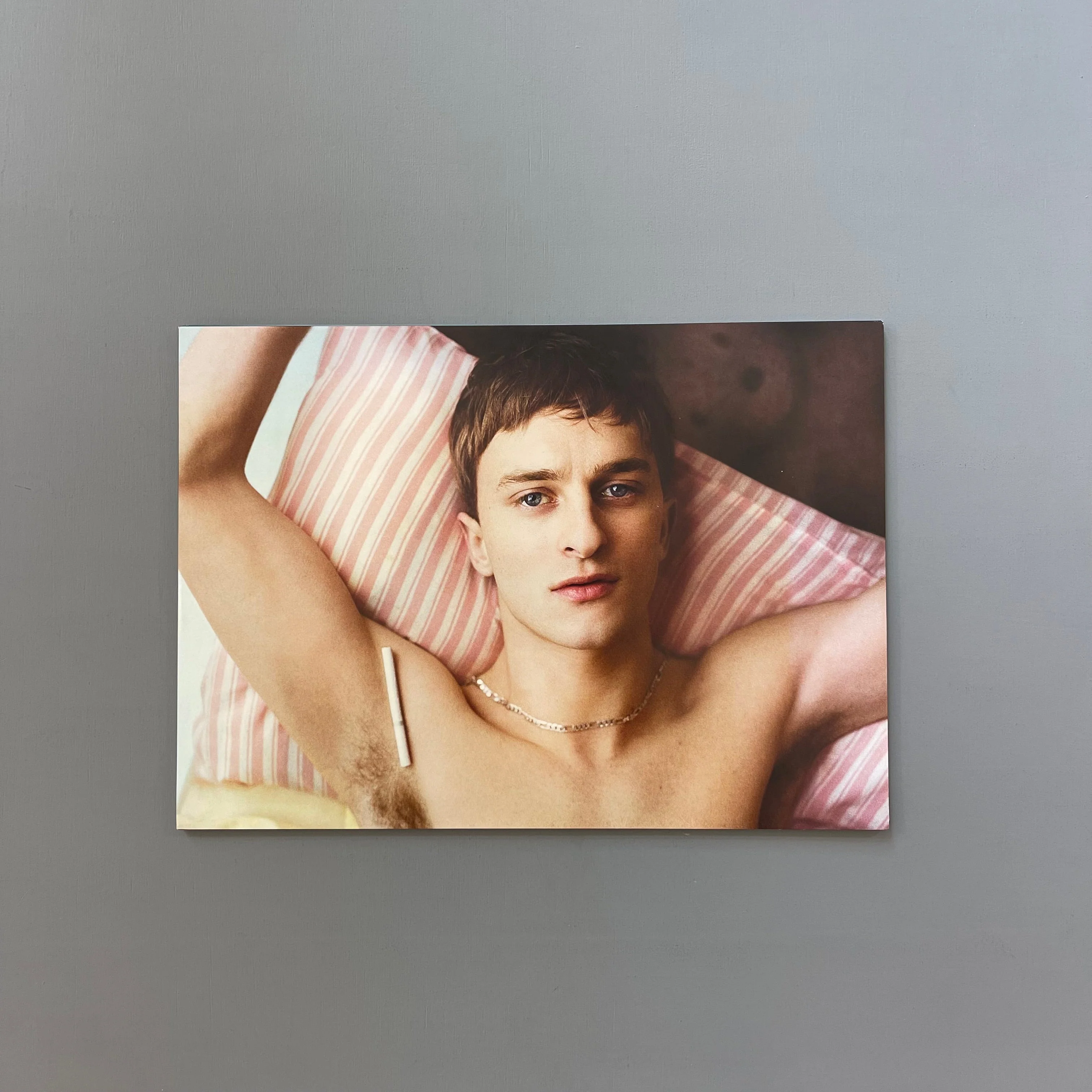 Brett Lloyd - The Quieter Poster Boys - Self-published 2010