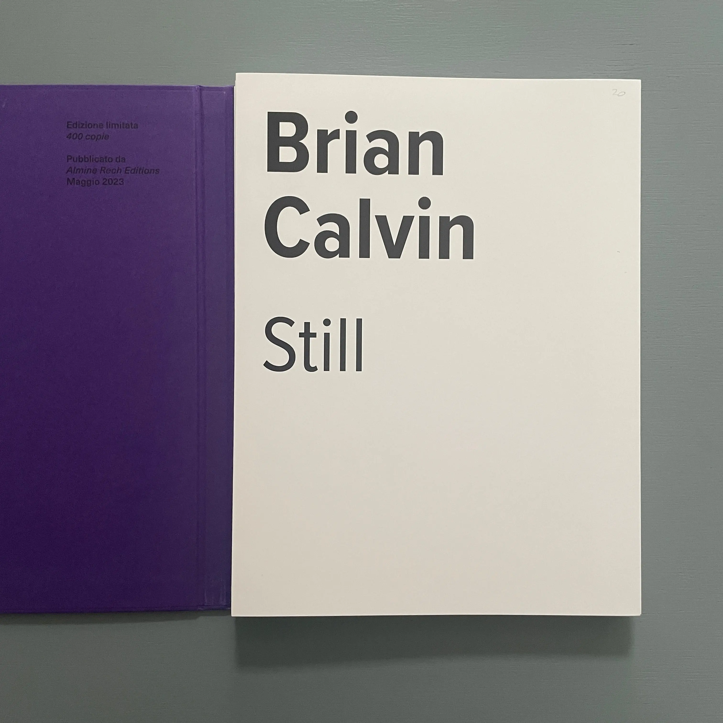 Brian Calvin - Leporello - Almine Rech Editions 2023 - Image 2
