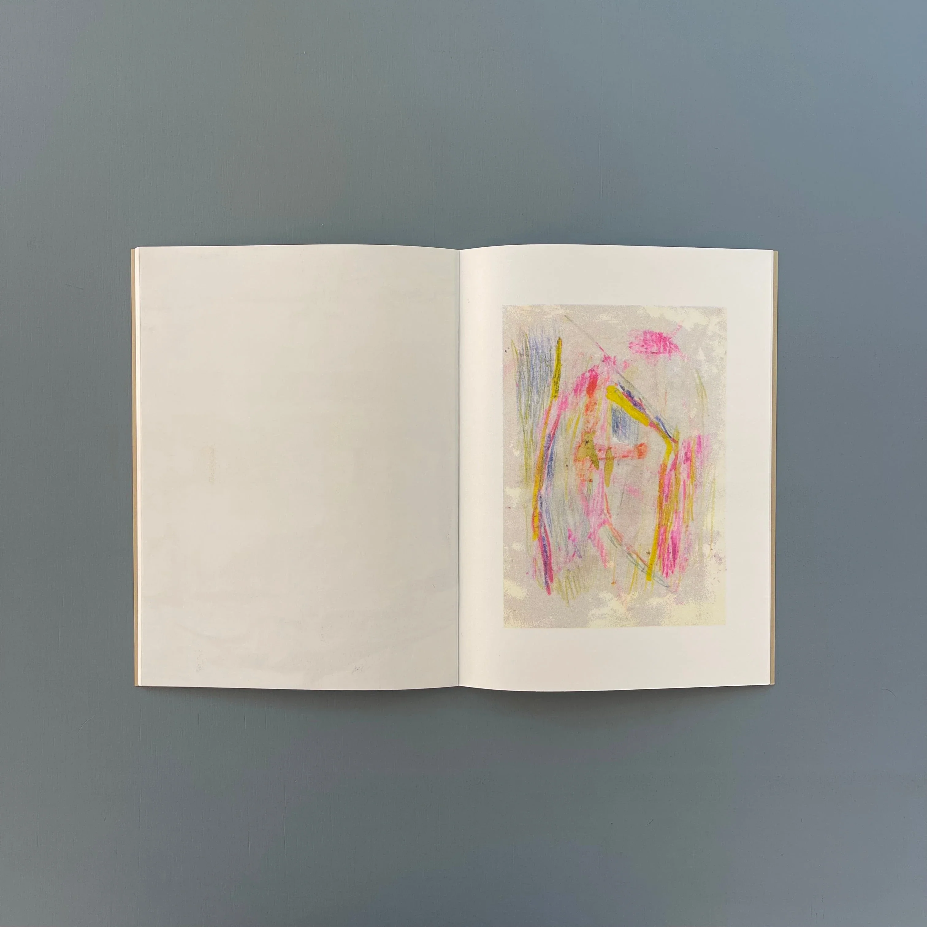 Felicia Atkinson & Bartolomé Sanson - The Last Frontier - Shelter Press 2014 - Image 10