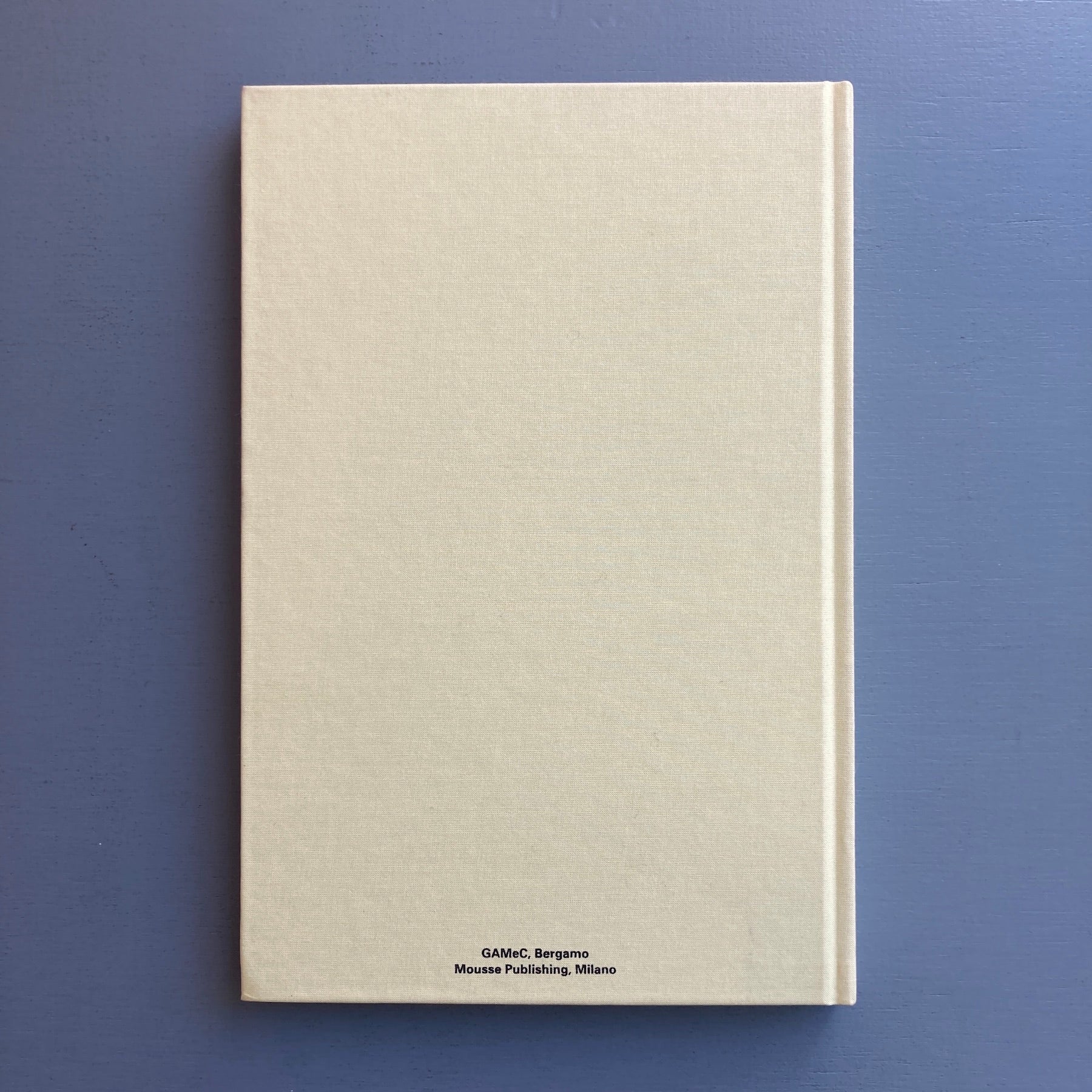 Giuseppe Gabellone - Mousse Publishing 2013 - Image 9