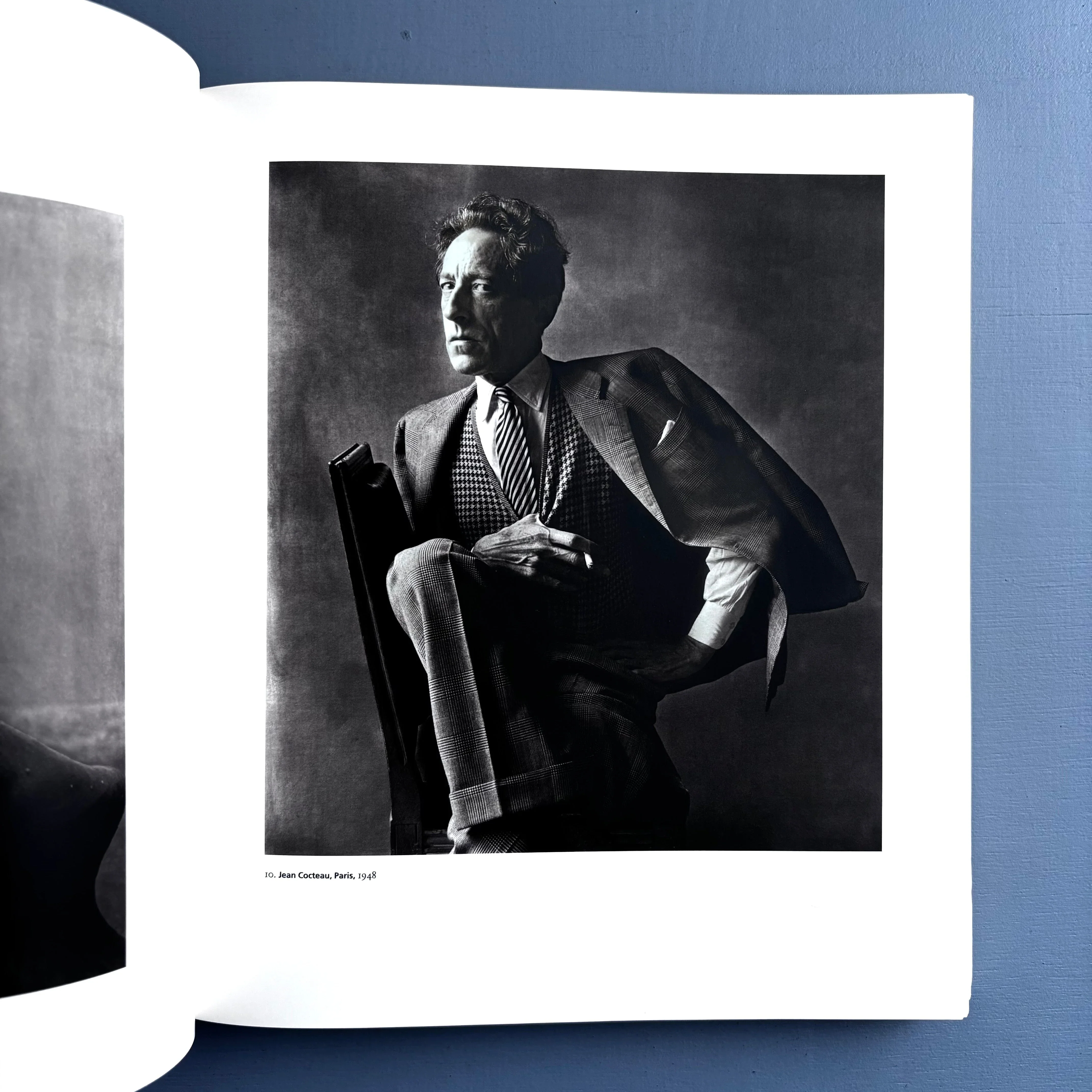 Irving Penn - Platinum Prints - National Gallery of Art 2005 - Image 5