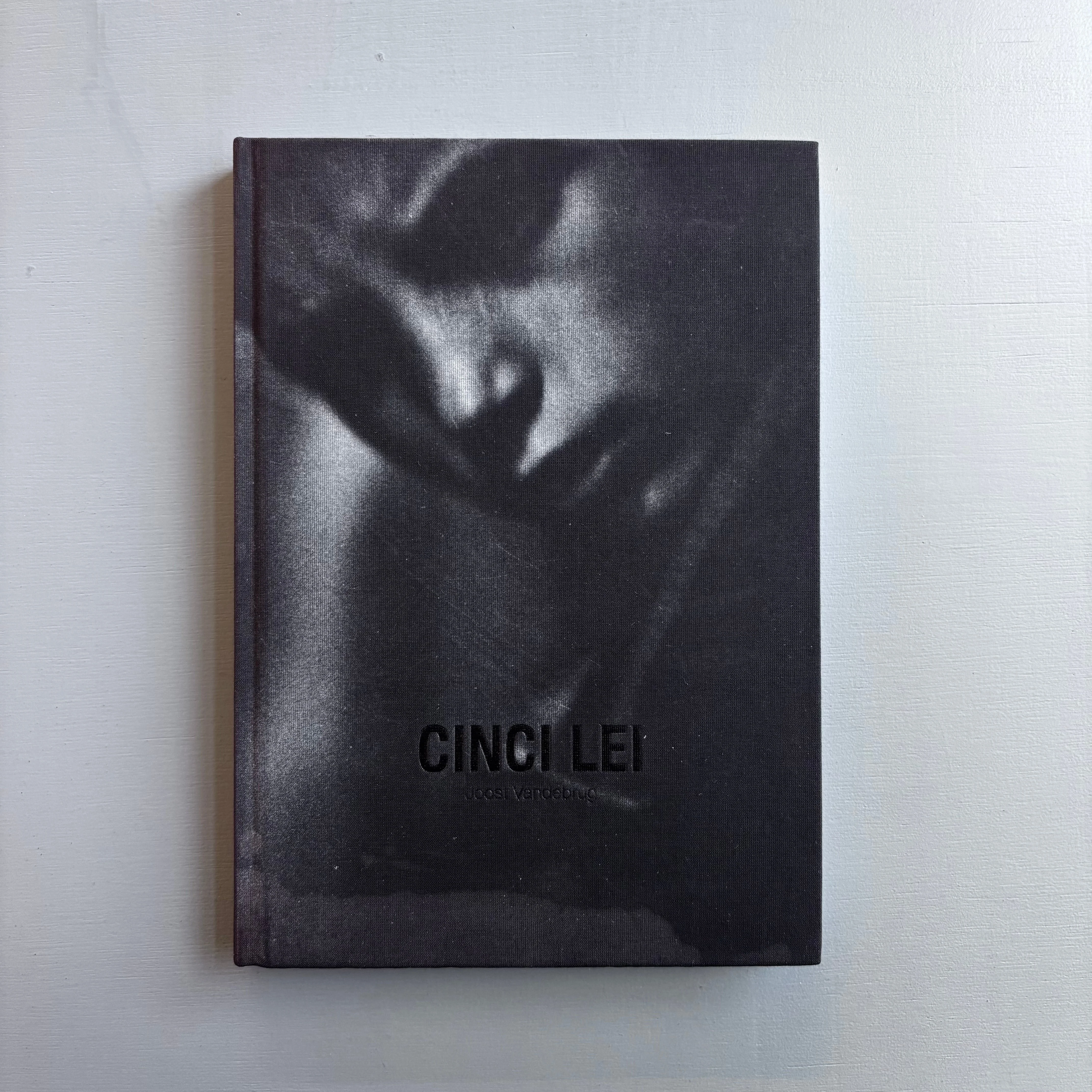 Joost Vandebrug - Cinci Lei - Dust 2014