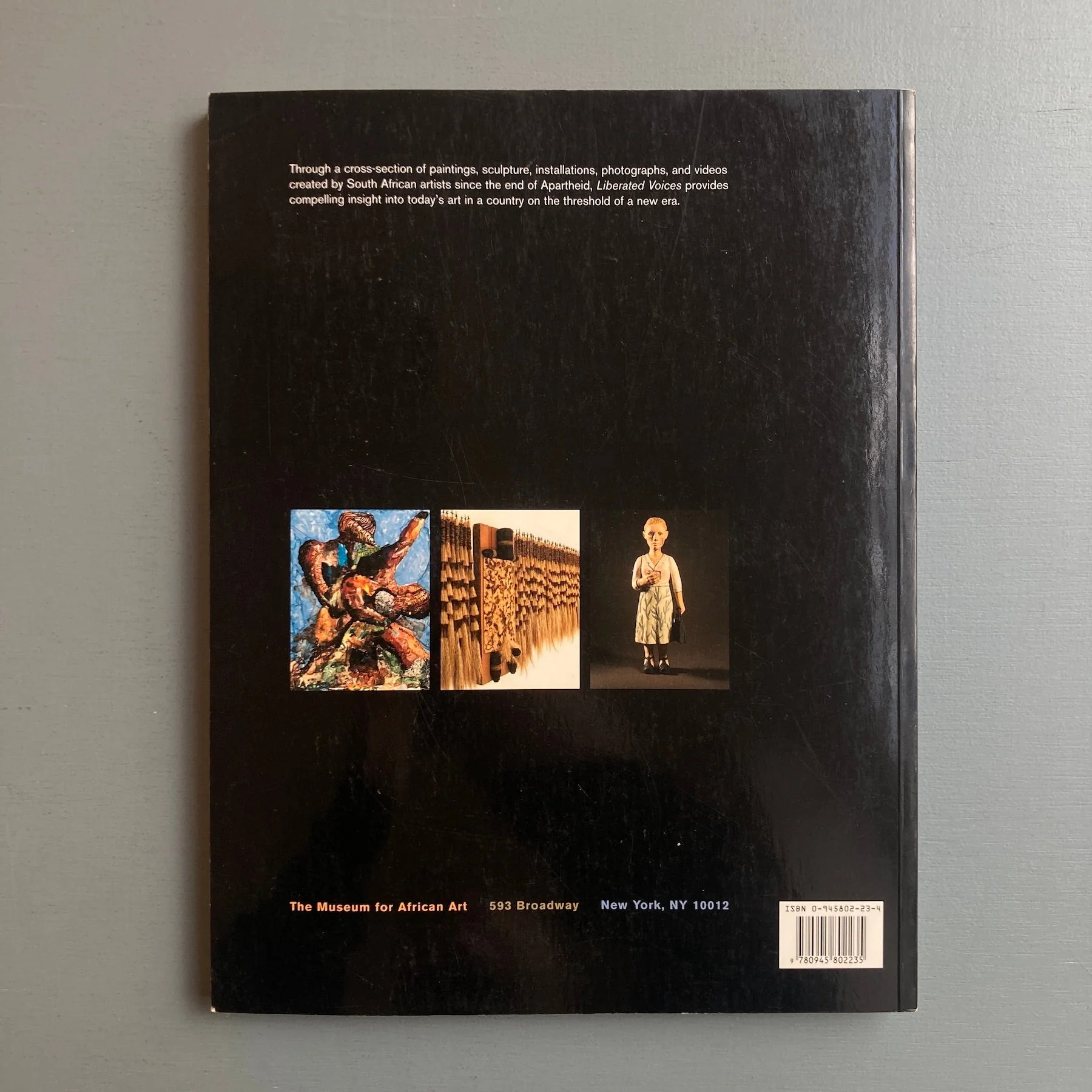 Liberated Voices: Contemporary Art from South Africa - Prestel 1999 - Image 8