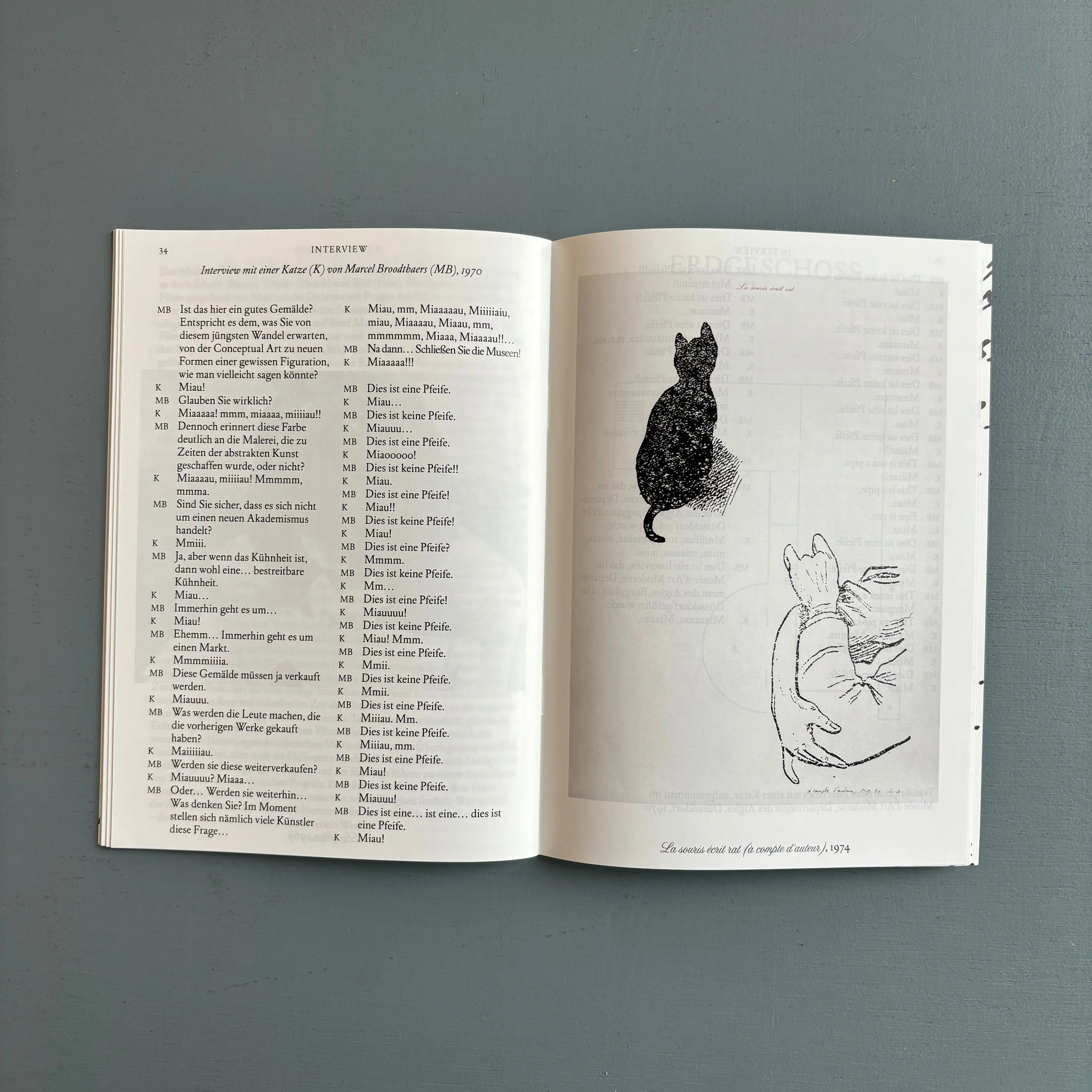 Marcel Broodthaers - Fridericianum 2015 - Image 6