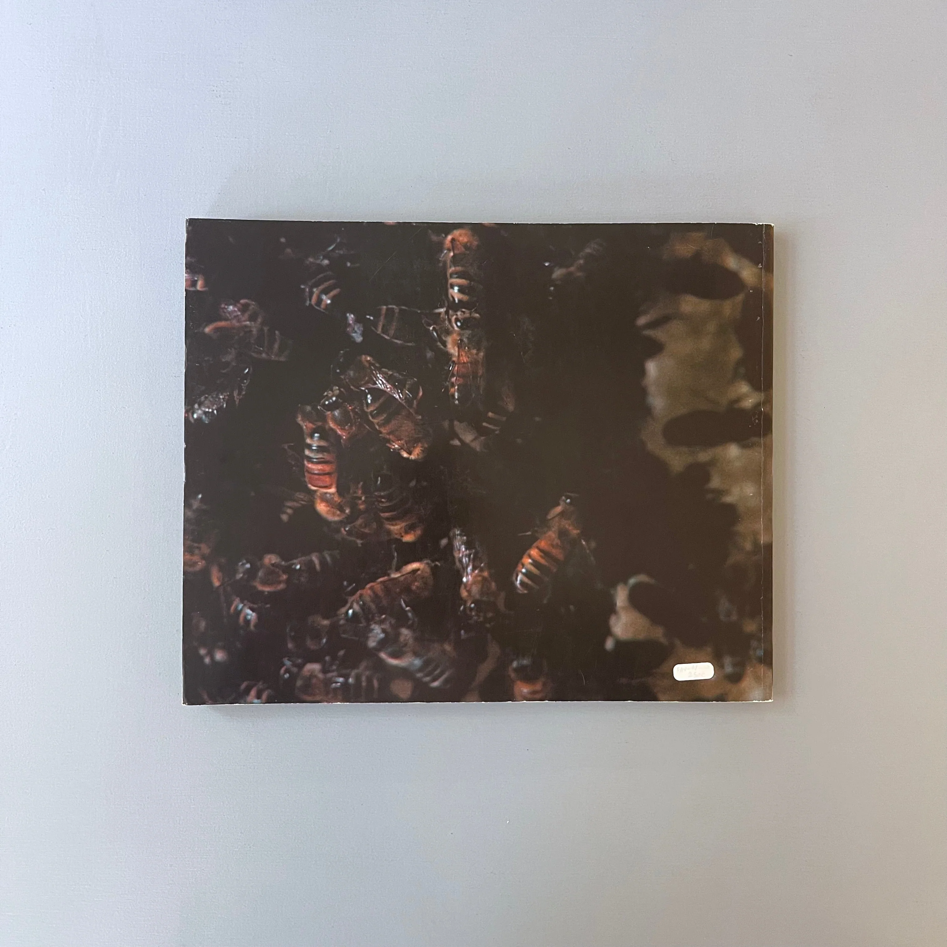 Matthew Barney - Cremaster 2 - Walker Art Center 1999 - Image 16