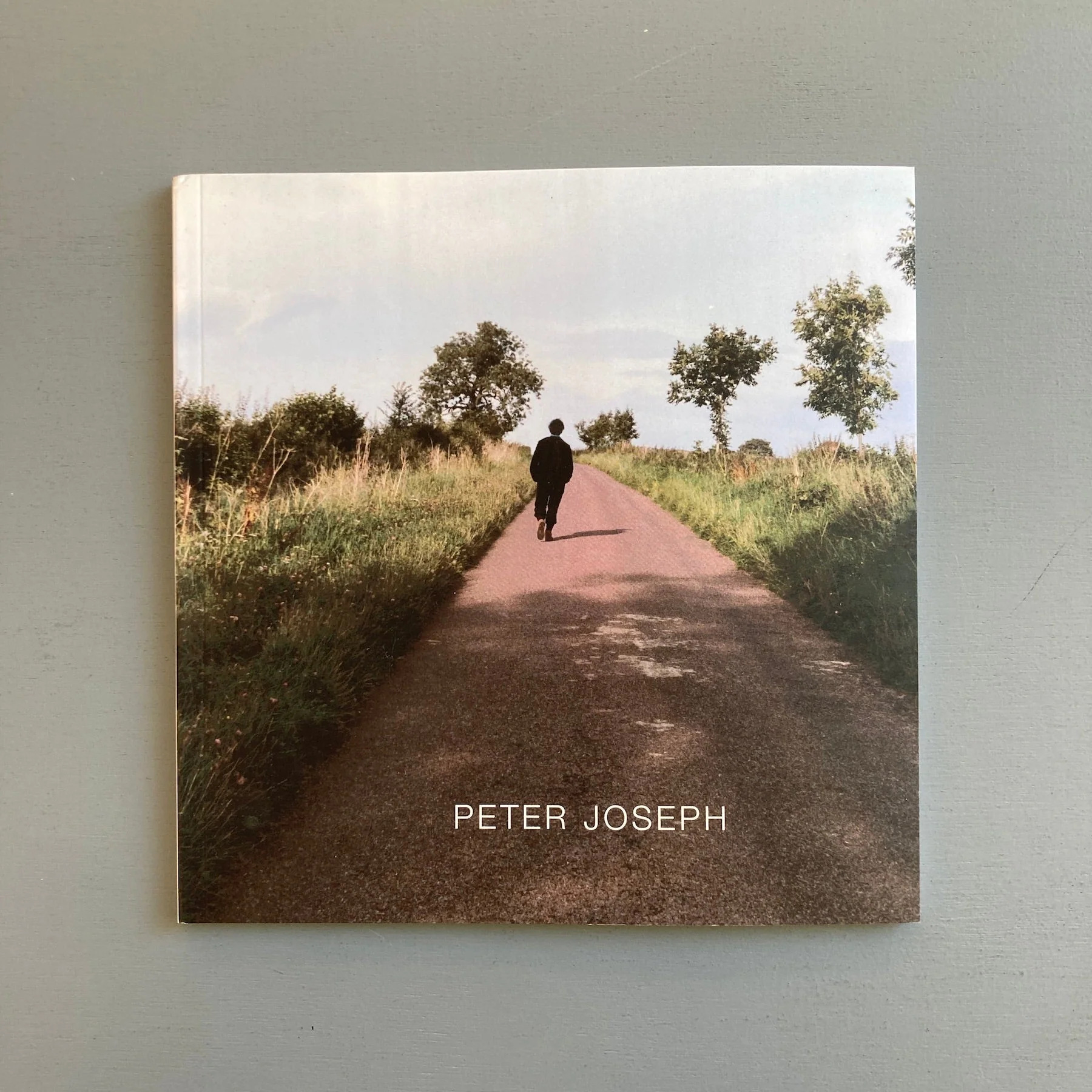 Peter Joseph - Lisson Gallery 1998