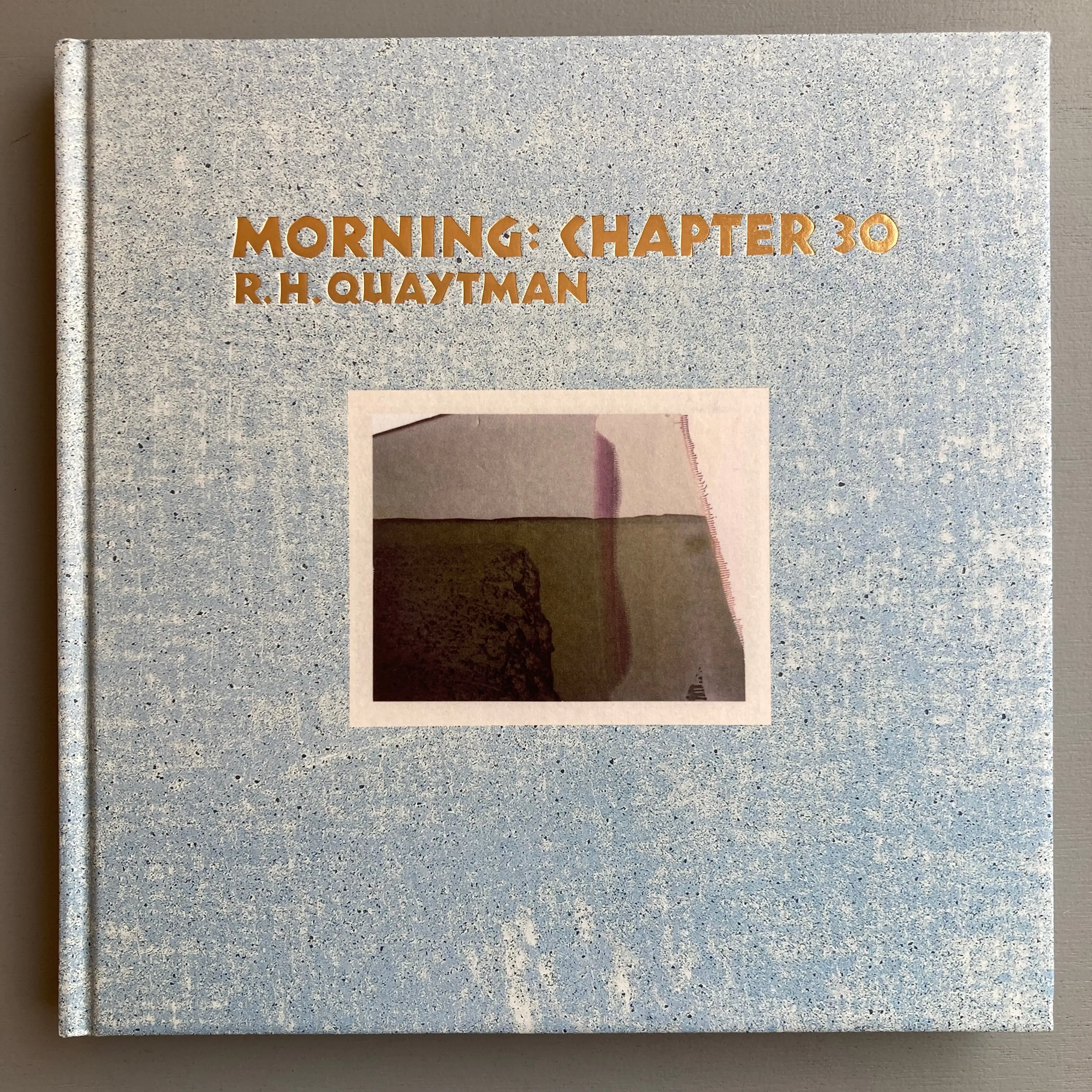 R.H. Quaytman - Morning: Chapter 30 - MOCA 2016