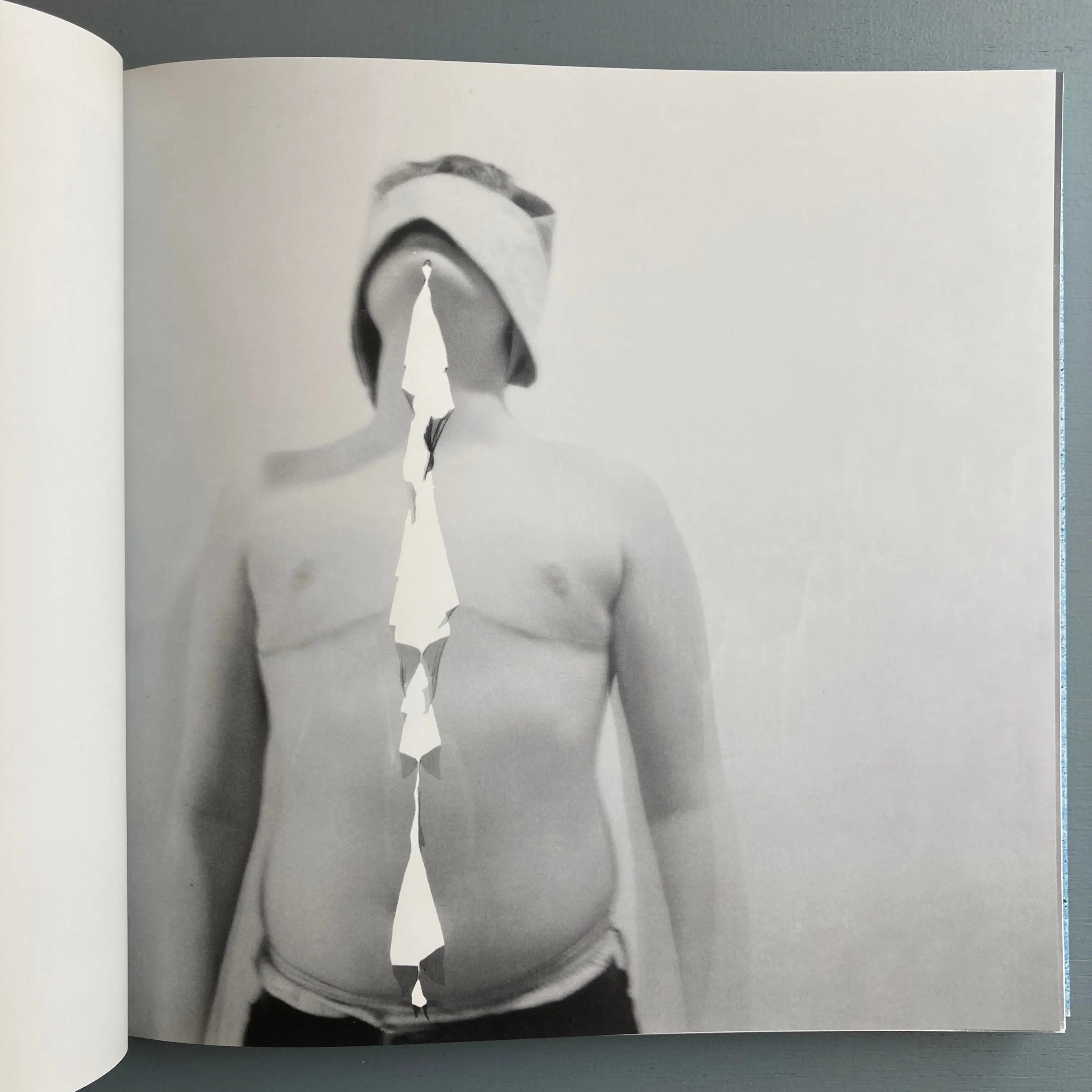 R.H. Quaytman - Morning: Chapter 30 - MOCA 2016 - Image 2