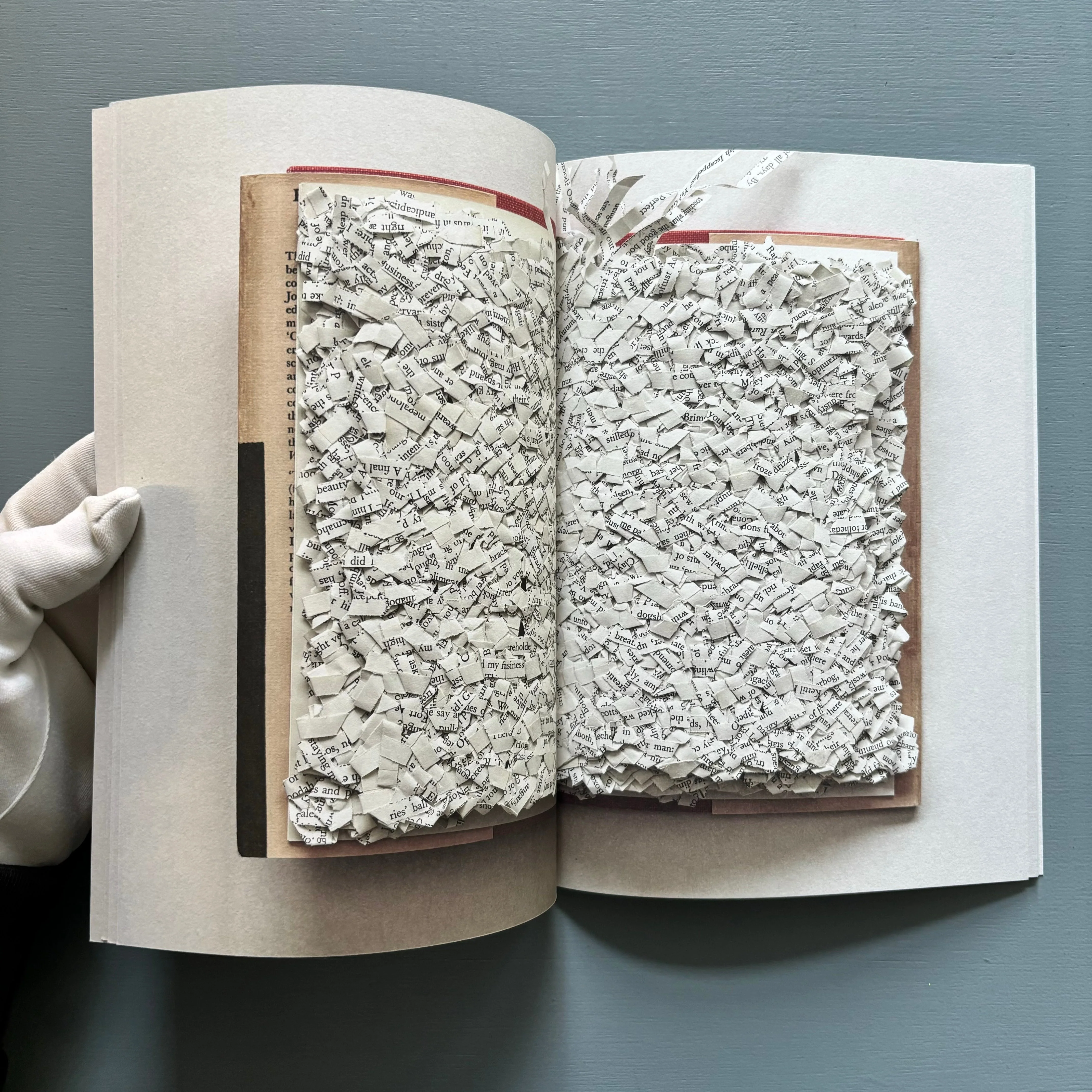 Reading Finnegans Wake by Ximena Pérez Grobet - Facsimile Edition - Nowhereman Press 2022 - Image 11