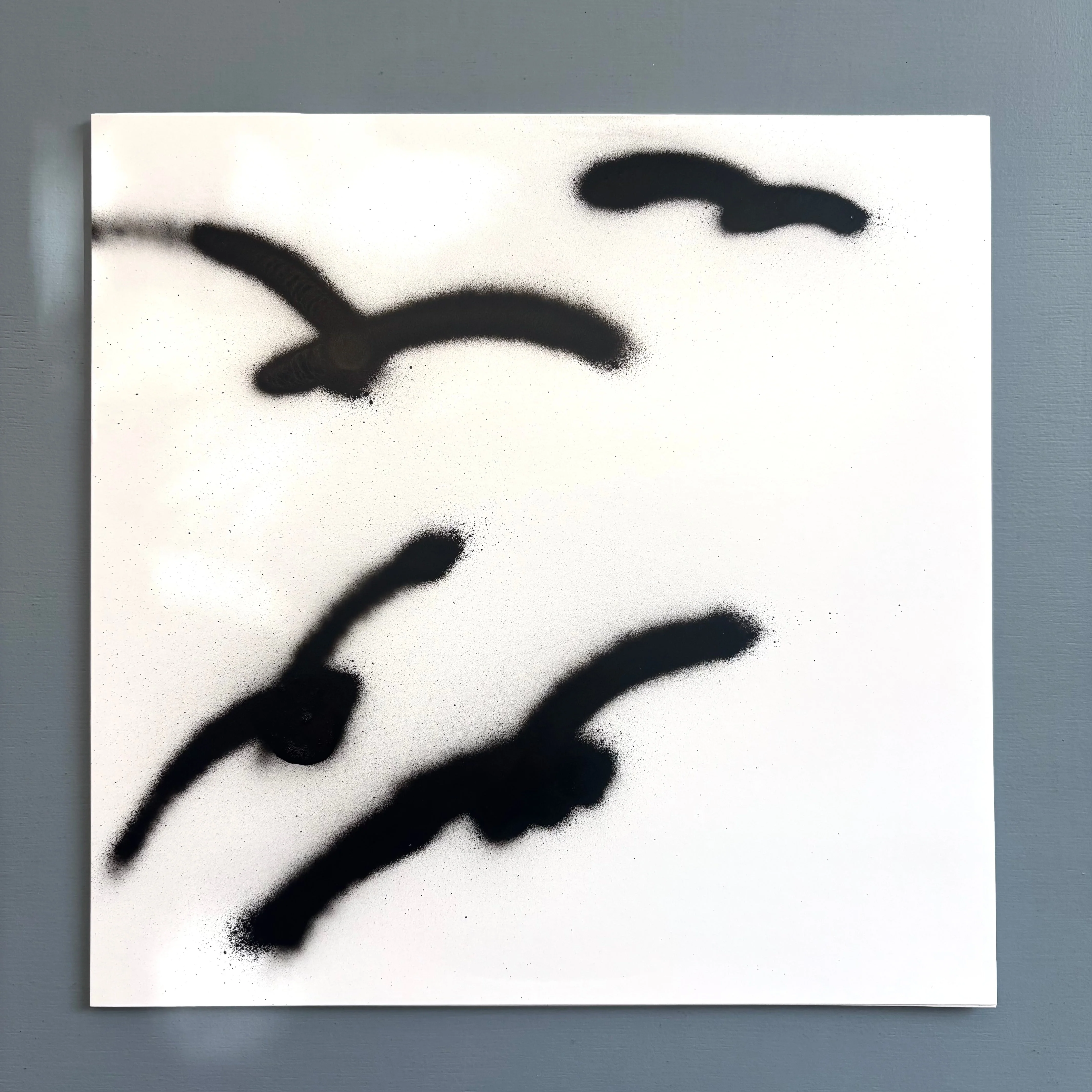 Sam Sala - Birds Reworks - Sam Sala 2026 - Image 7