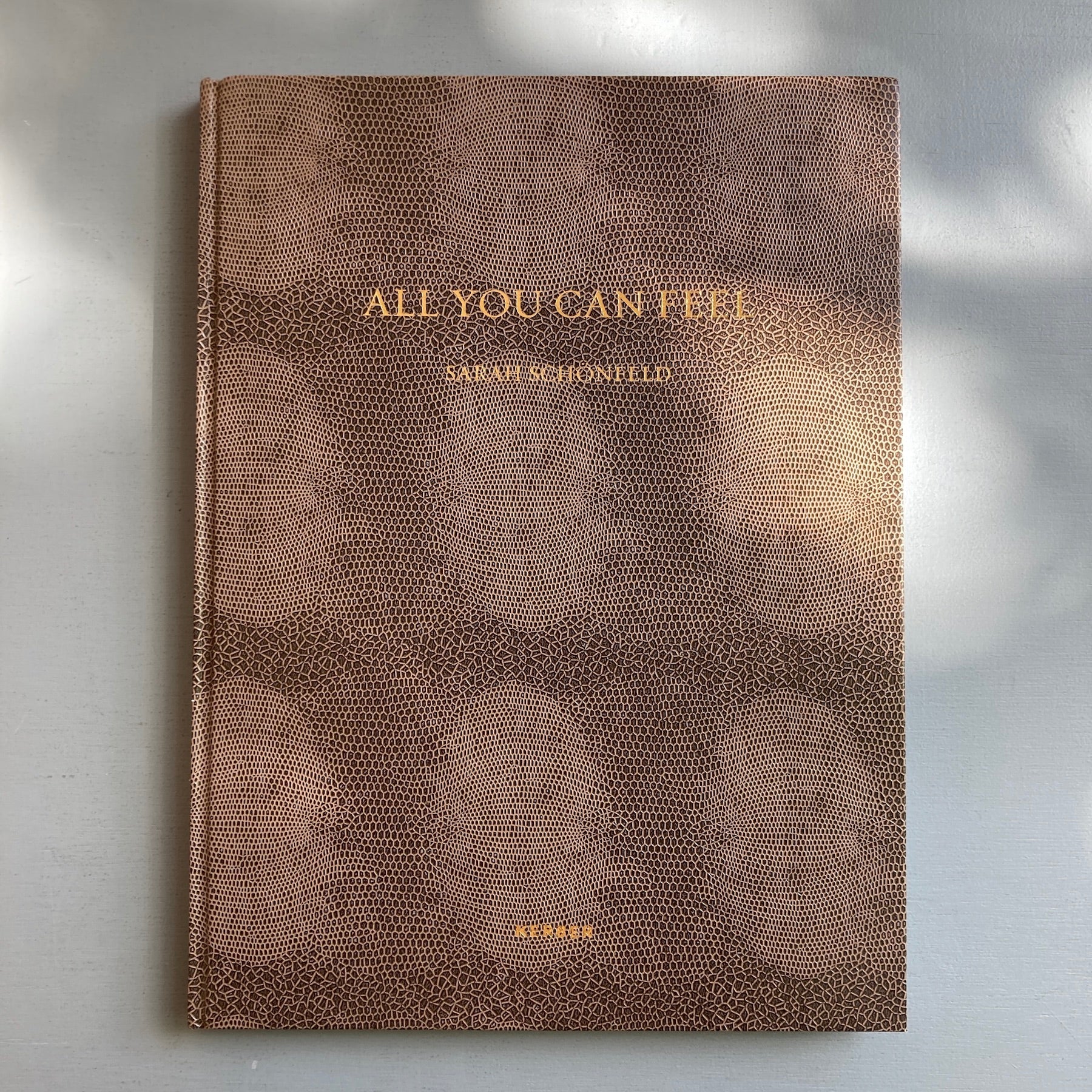 Sarah Schönfeld - All You Can Feel - Kerber 2013