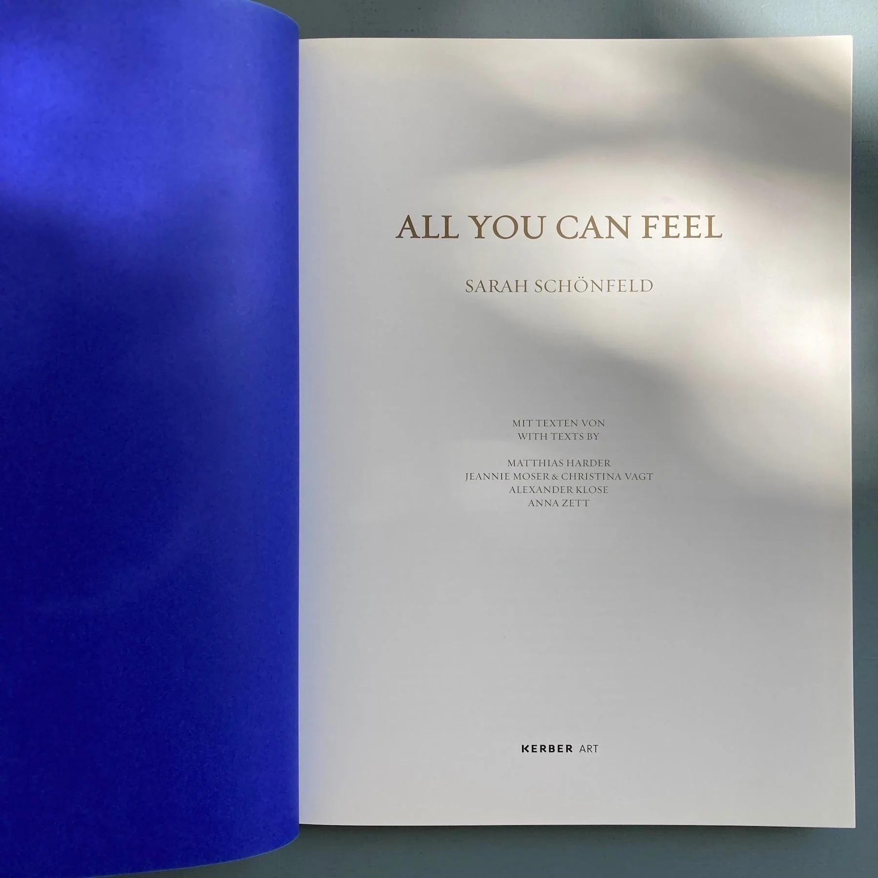 Sarah Schönfeld - All You Can Feel - Kerber 2013 - Image 3