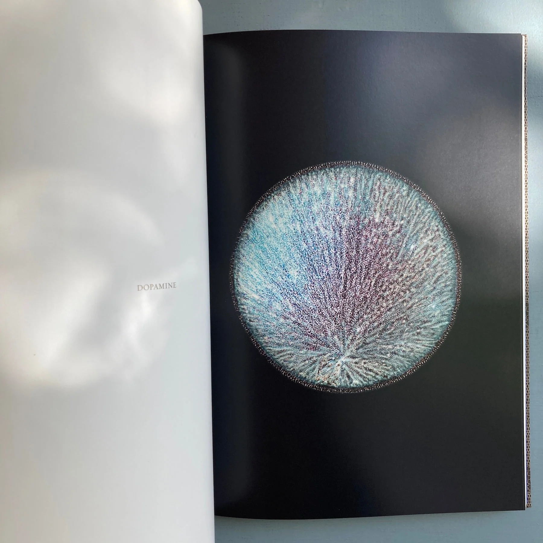 Sarah Schönfeld - All You Can Feel - Kerber 2013 - Image 7