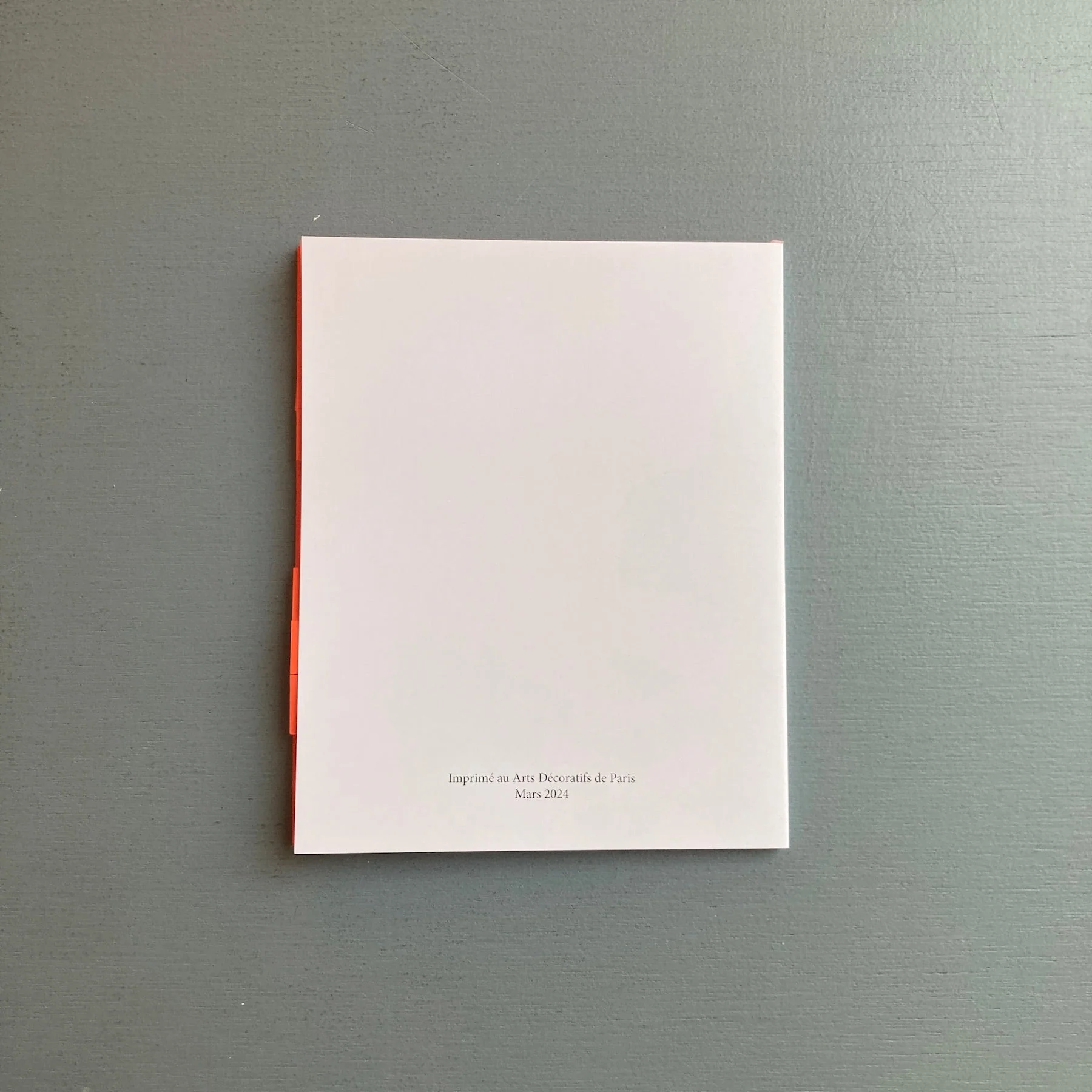 Suzie Crespin Thirode - Pili-Pili - Self-published 2024 - Image 5