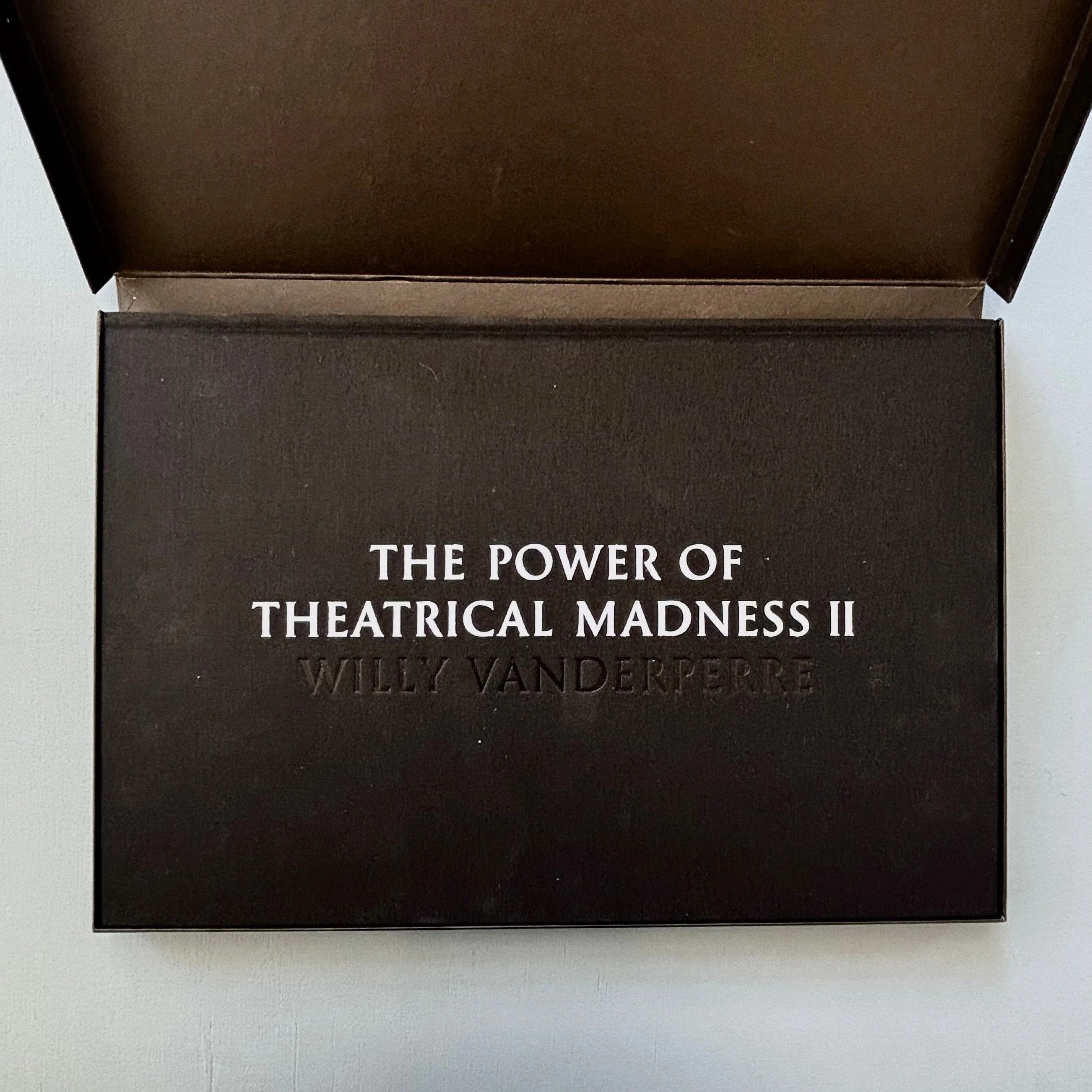 Willy Vanderperre - The Power of Theatrical Madness II - Self-published 2014 - Image 2