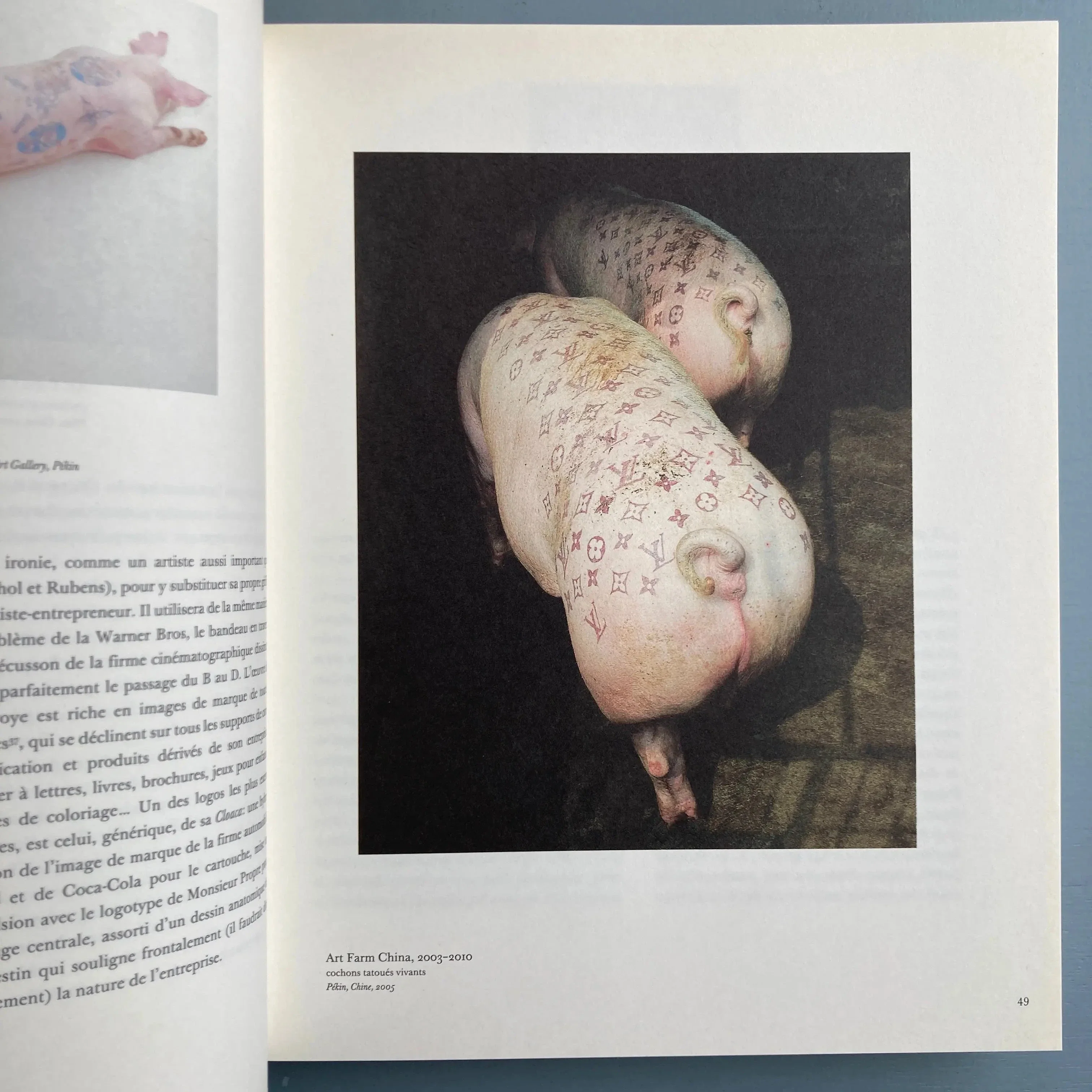 Wim Delvoye - Introspective - Fonds Mercator 2012 - Image 2